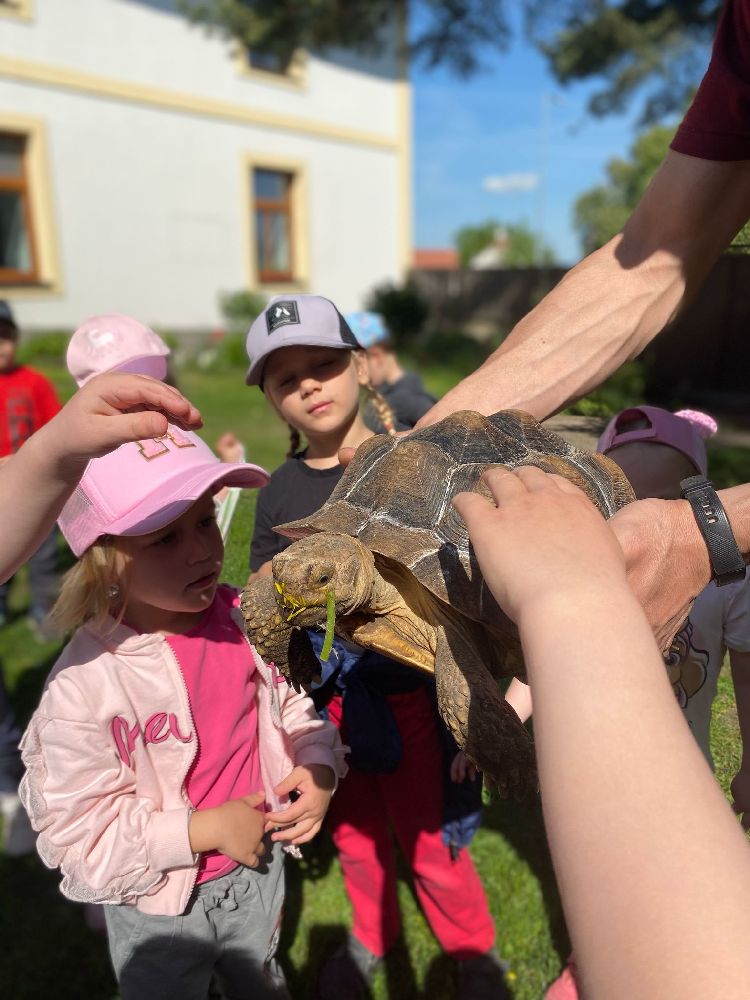 Návštěva farmy na Stochově - Motýlci a Žabičky
