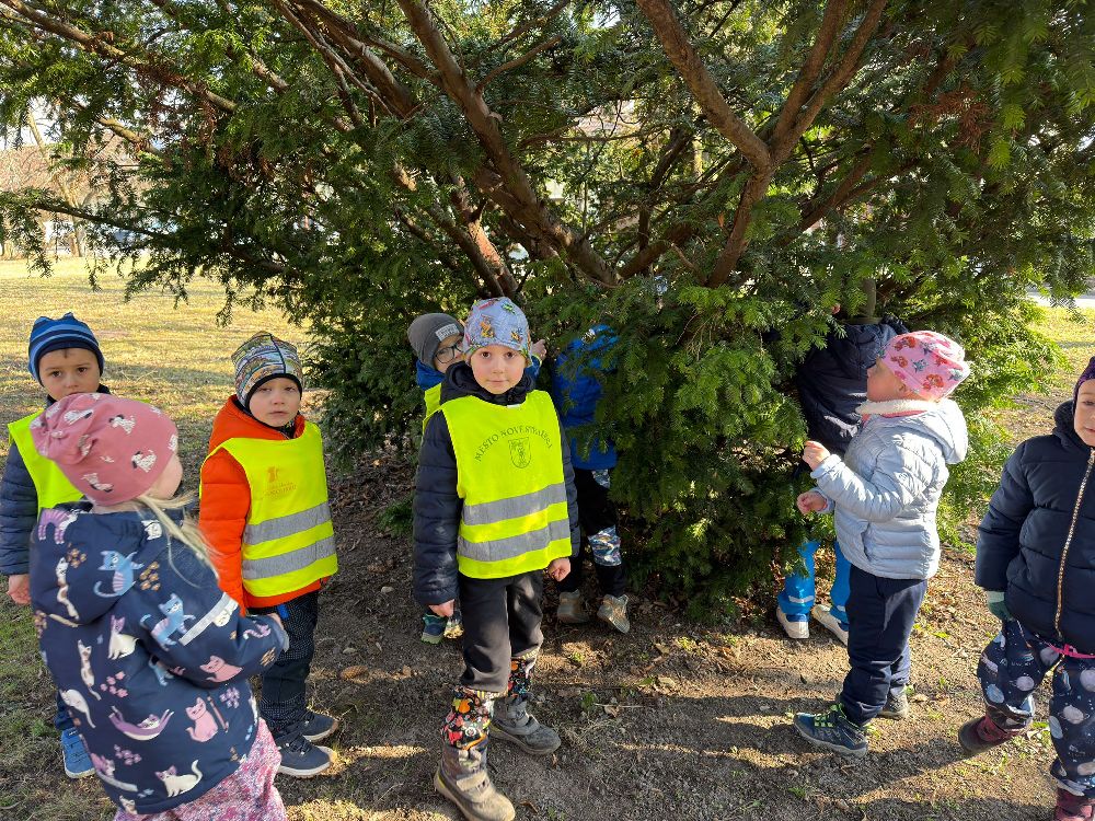 Pohádková cesta Berušky