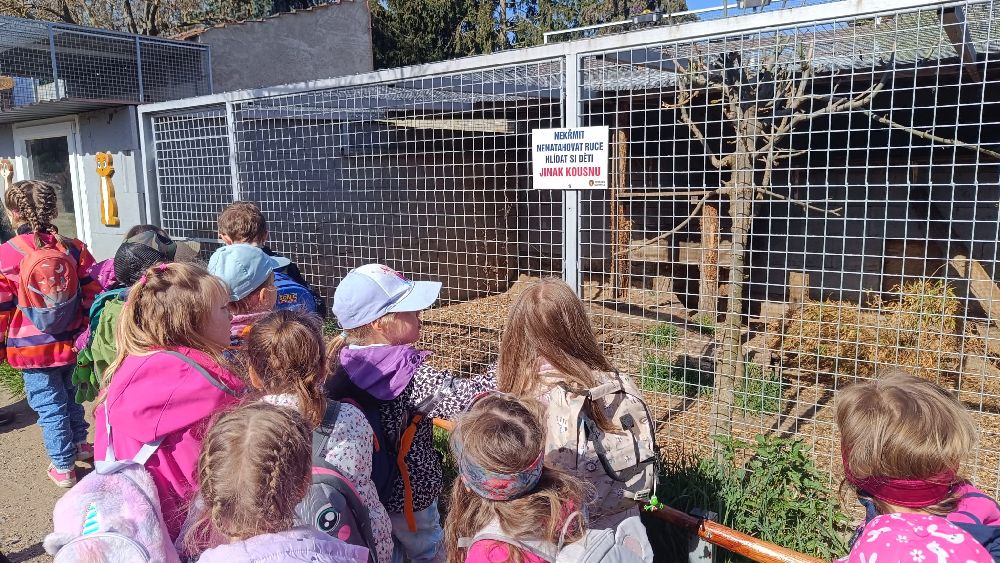 ZOO Olovnice malé Včeličky