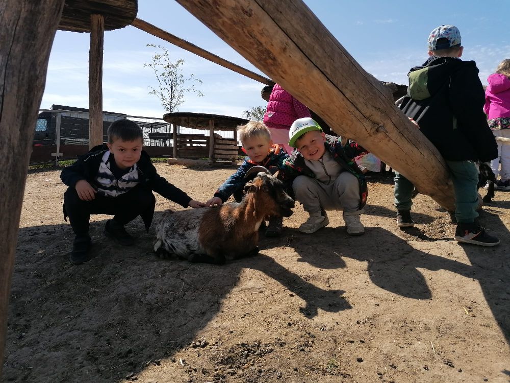 ZOO Olovnice malé Žabičky